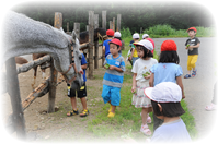 高原合宿 高原合宿