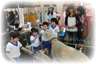 ふれあい動物園