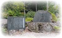 画像の説明 画像の説明
